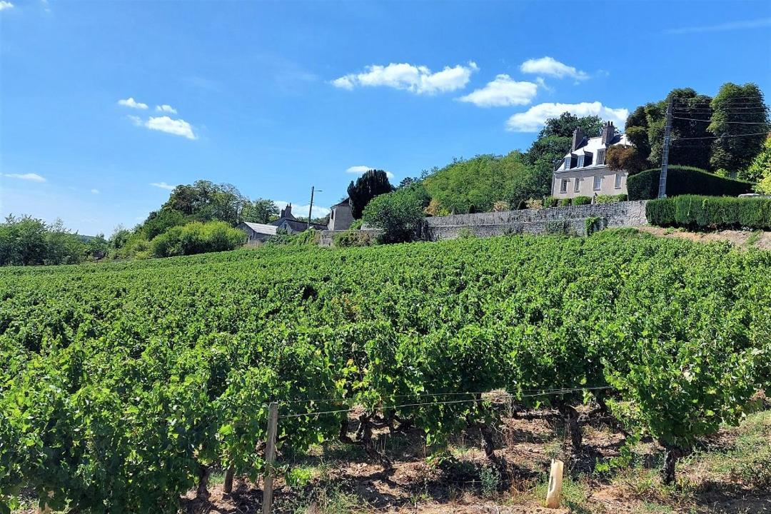 Le Cosy / Vieux Tours Leilighet Eksteriør bilde